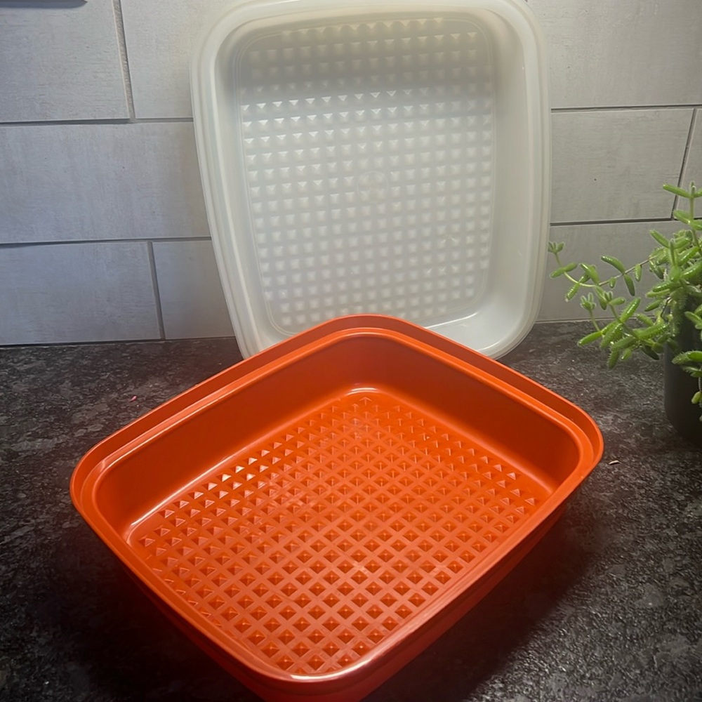 Vintage Tupperware marinating container. Gently used. Great for your ba…